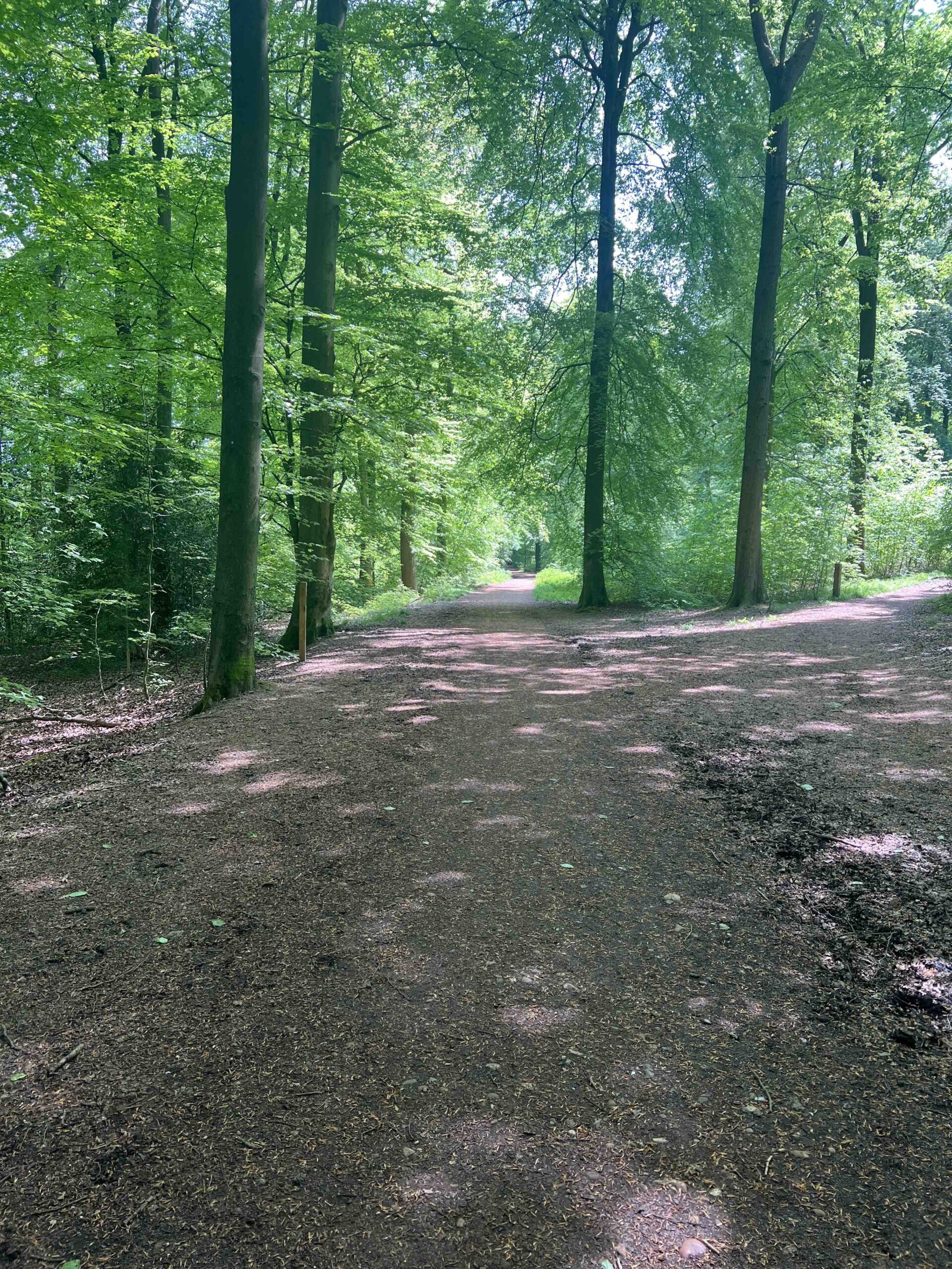 Common Wood – Points of Interest | Penn and Tylers Green